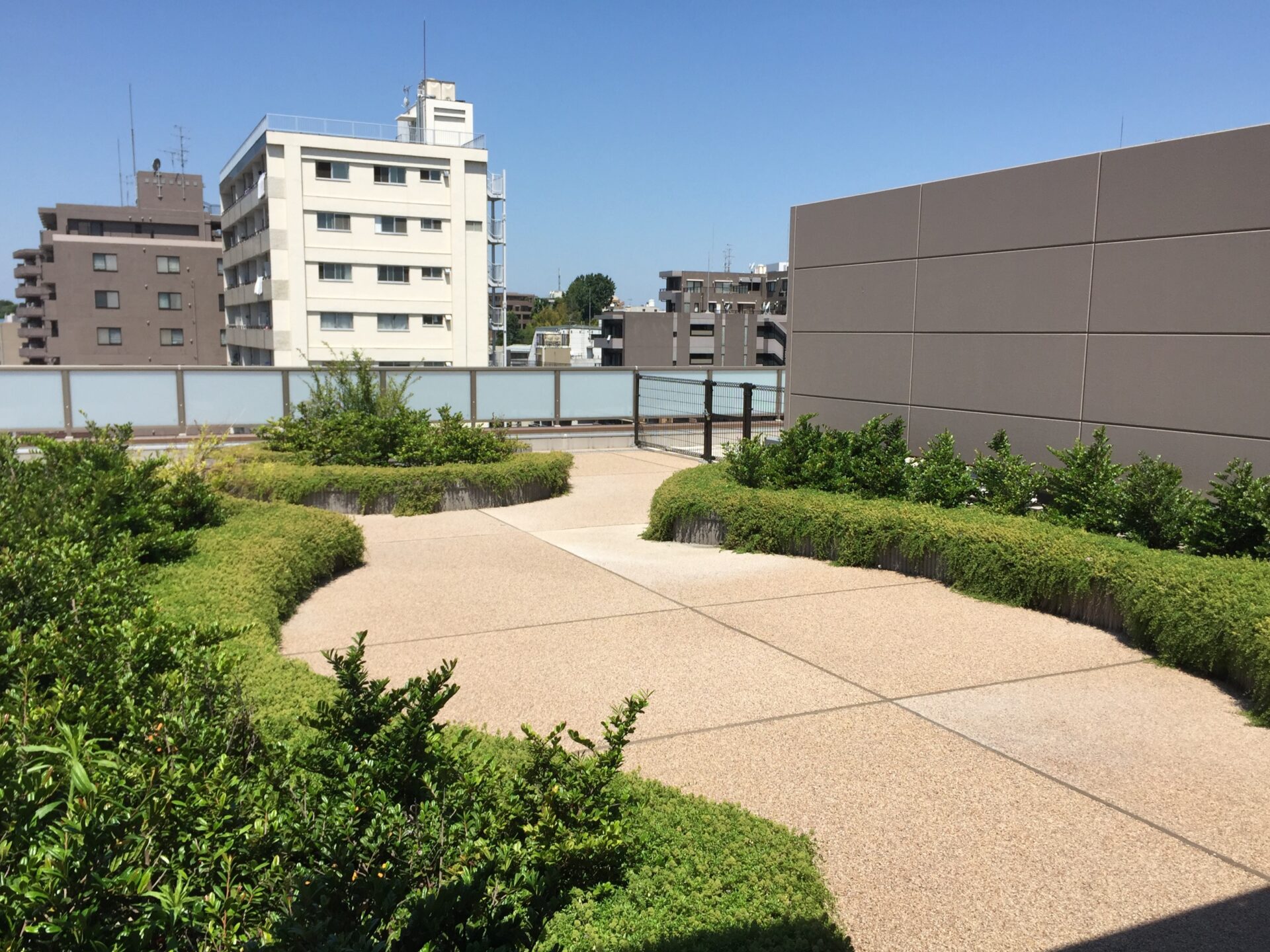東京都集合住宅の屋上緑化経過事例