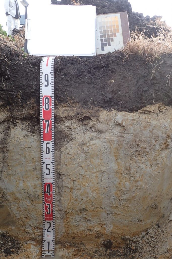 農耕地・森林の調査 土壌分析・土壌調査・樹木診断・水質浄化のご相談はクレアテラへ